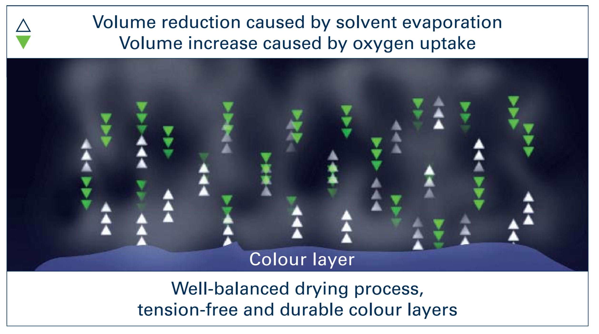 Volume reduction caused by solvent evaporation volume increased by oxygen uptake. Well-balanced drying process tension-free and durable colour layers