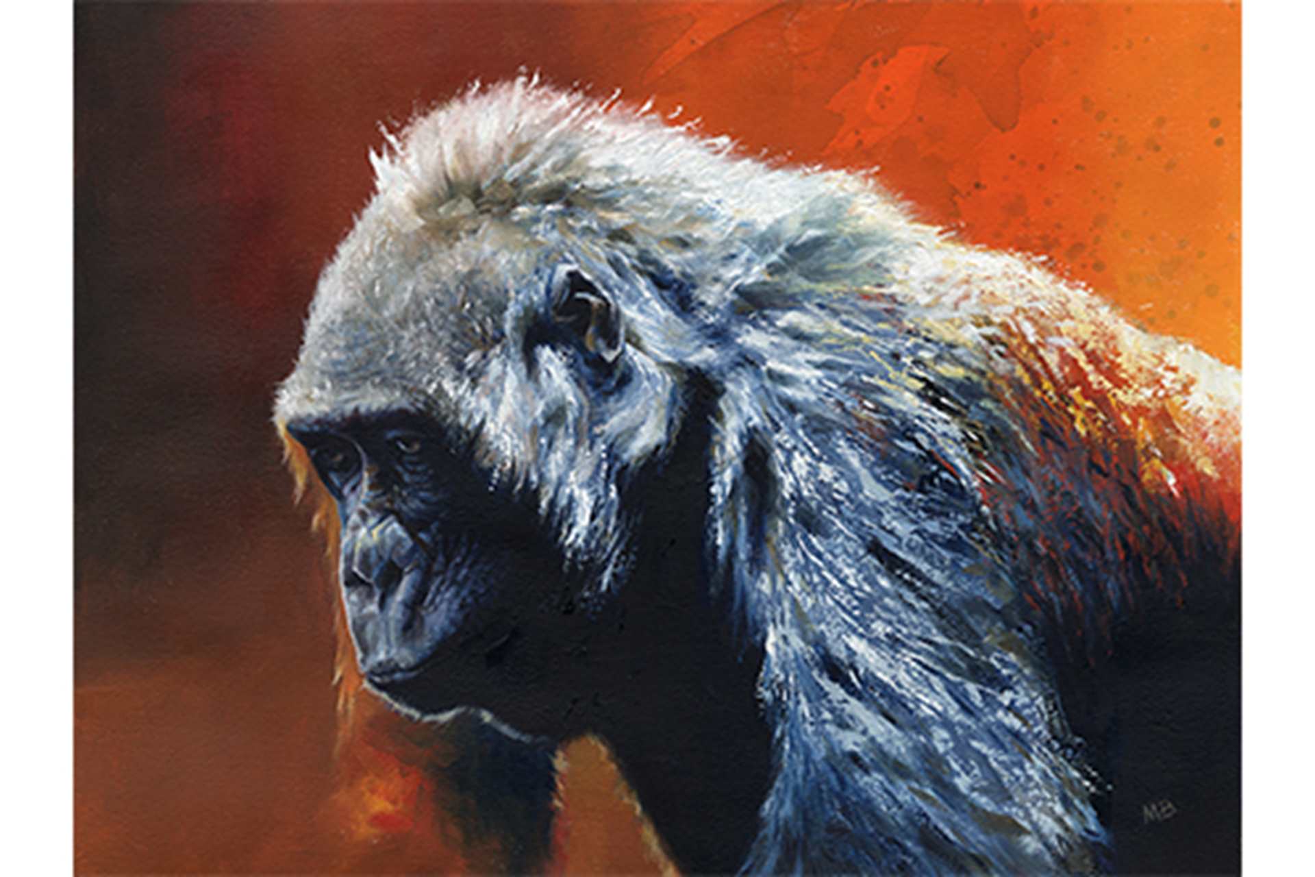 Gorilla Study by Martin Buffery