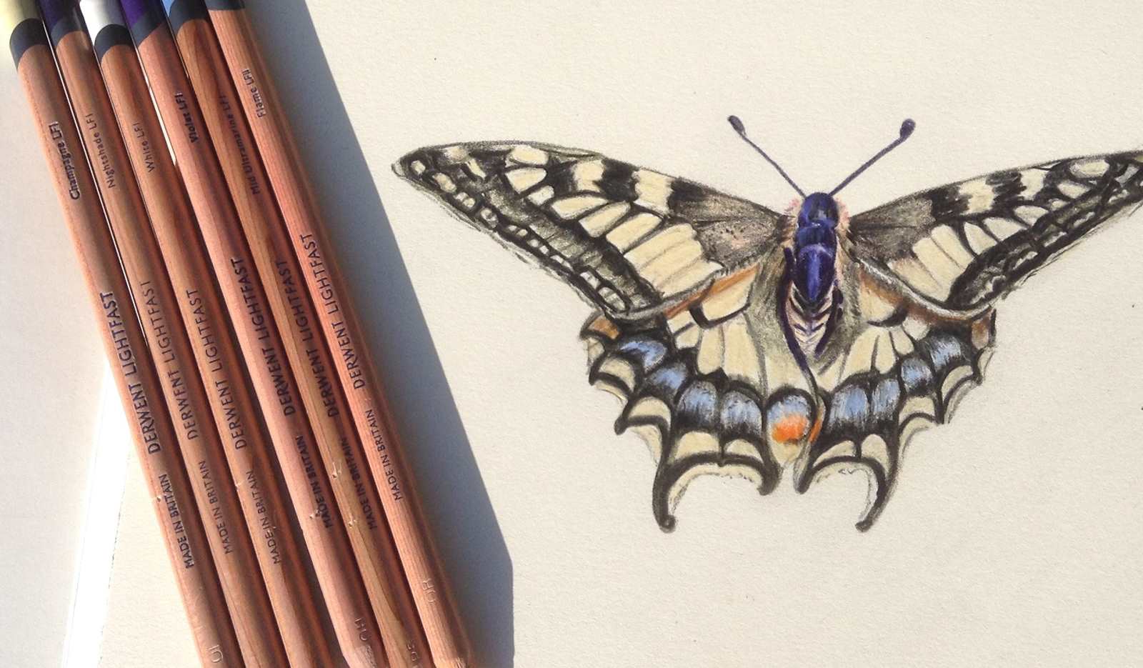 Drawing of butterfly next to Derwent Lightfast Pencils