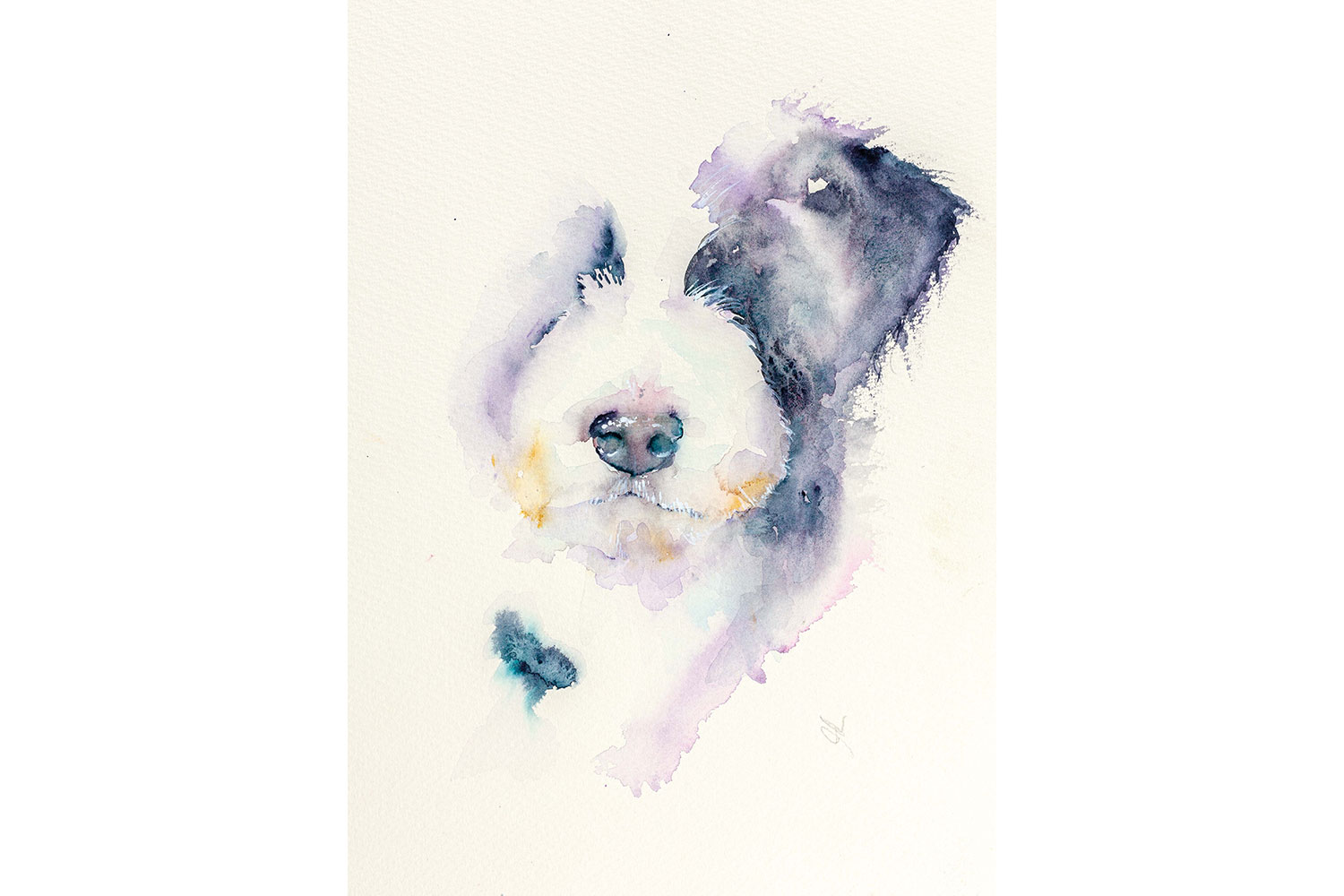 Atmospheric Animals in Watercolour with Jean Haines | SAA